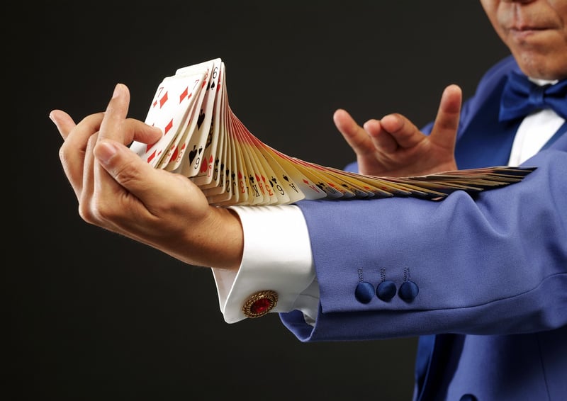 Interactive Magic Show